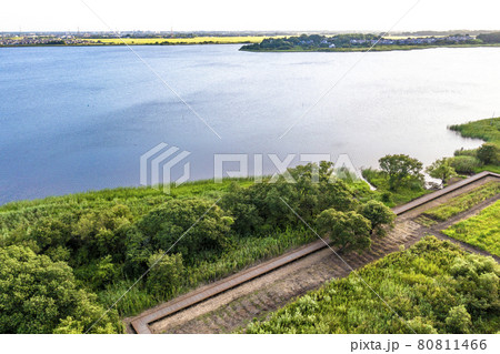 牛久沼の「河童の小径」（茨城県） 80811466