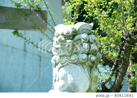 別府市　浜脇秋葉神社 80811691