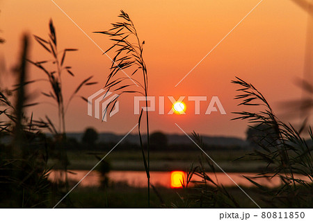 ドイツ 田舎町の赤く染まった夕焼けと川 ドイツ 田舎町の赤く染まった夕焼けと川 80811850