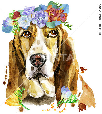 Watercolor portrait of basset hound with wreath of flowers 80812305