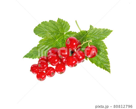 Currant berries isolated Currant berries isolated 80812796