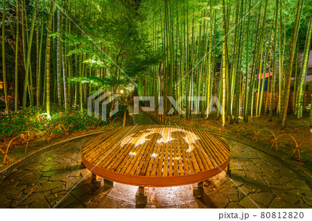 修善寺温泉　竹林の小径　ライトアップ 80812820
