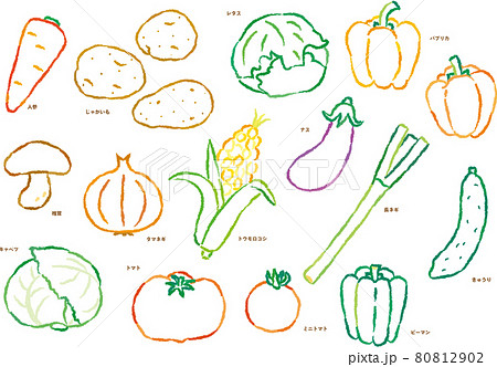野菜線画イラストセット 80812902