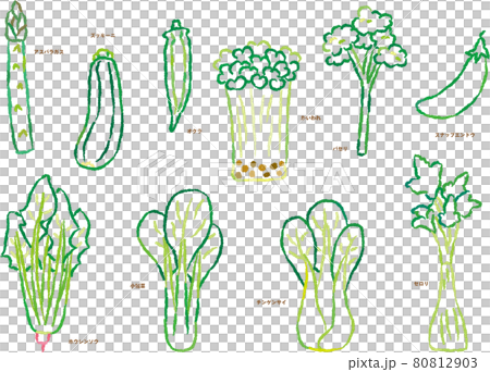 野菜線画イラストセット　緑の野菜 80812903