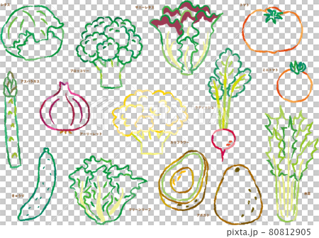 Vegetable line drawing illustration set salad Vegetable line drawing illustration set salad 80812905