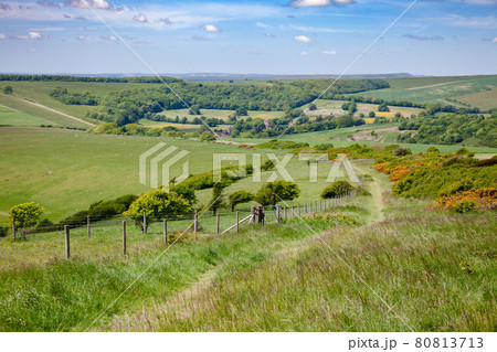 South Downs Way National Trail in Sussex Southern England UK 80813713
