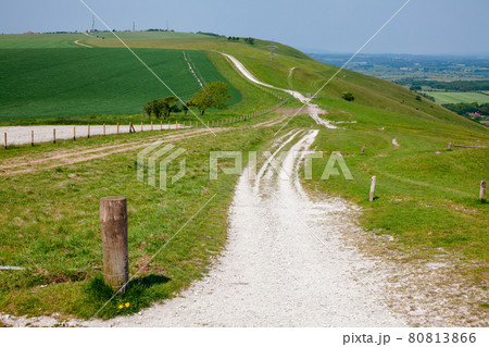 South Downs Way National Trail in Sussex Southern England UK 80813866