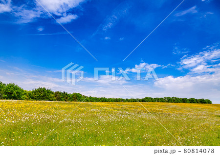 Summer rural landscape Southern England UK Summer rural landscape Southern England UK 80814078