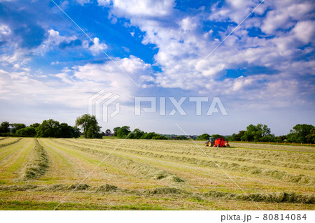 Summer rural landscape with tractor collecting hay in the field Southern England UK 80814084
