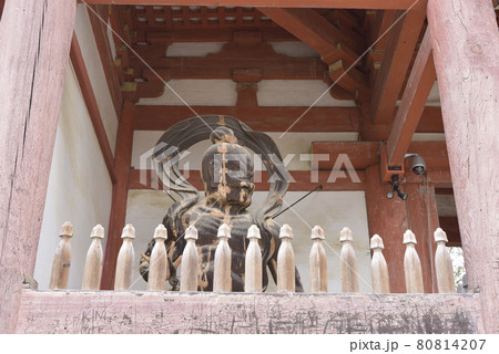 金剛力士立像 醍醐寺 金剛力士立像 醍醐寺 80814207