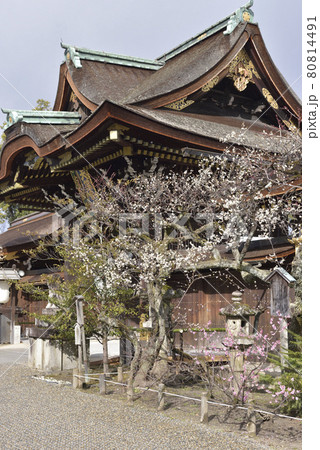 三光門とうめ　北野天満宮 80814491