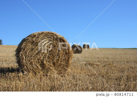 Straw bales Straw bales 80814711