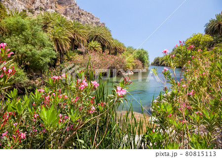 Megalopotamos river near Preveli palm beach Crete Greece Megalopotamos river near Preveli palm beach Crete Greece 80815113
