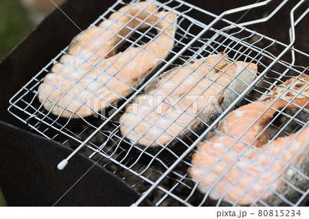 Grilled salmon fillet in metal wire rack closeup Grilled salmon fillet in metal wire rack closeup 80815234