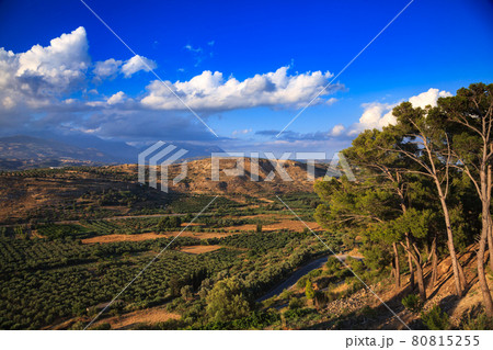 Rural Crete scenic view 80815255