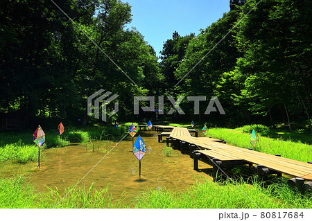 夏の宮沢賢治童話村 夏の宮沢賢治童話村 80817684