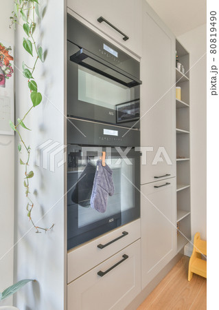 Close up of stylish oven in a kitchen Close up of stylish oven in a kitchen 80819490