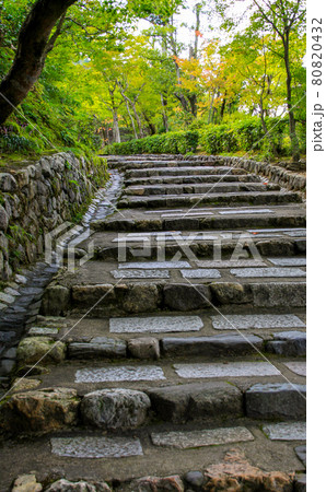 嵯峨野 嵯峨野 80820432