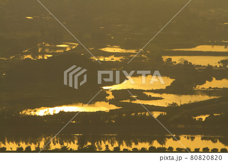 a view at Kai Kung Leng,  fish pond of Nam Sang Wai, Yuen Long 80820820