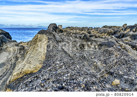 城ヶ島の海蝕崖 神奈川県 城ヶ島の海蝕崖 神奈川県 80820914
