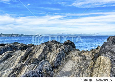 城ヶ島の海蝕崖 神奈川県 城ヶ島の海蝕崖 神奈川県 80820915