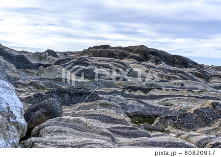 城ヶ島の海蝕崖 神奈川県 城ヶ島の海蝕崖 神奈川県 80820917