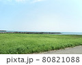 青空と草原と海 80821088