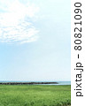 青空と草原と海 80821090