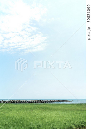 青空と草原と海 80821090