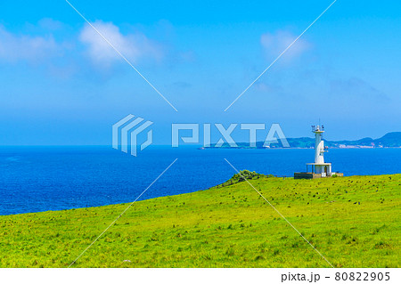 杉ノ原放牧場 【佐賀県唐津市】 杉ノ原放牧場 【佐賀県唐津市】 80822905