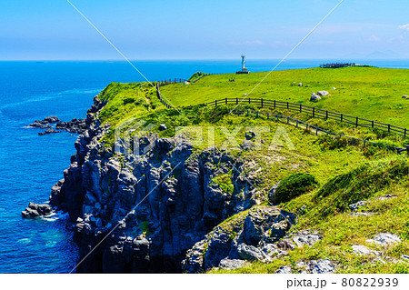 杉ノ原放牧場　【佐賀県唐津市】 80822939