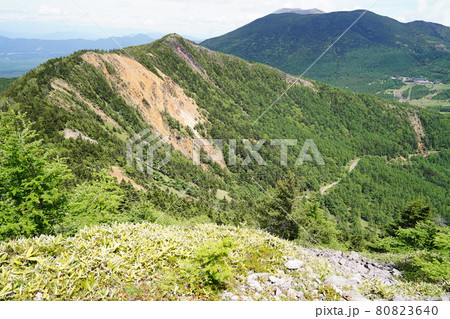 群馬・長野県境 湯ノ丸高原と高峰高原の間にある東篭の塔山頂付近から、水ノ塔山、高峰高原方面を見る 群馬・長野県境 湯ノ丸高原と高峰高原の間にある東篭の塔山頂付近から、水ノ塔山、高峰高原方面を見る 80823640
