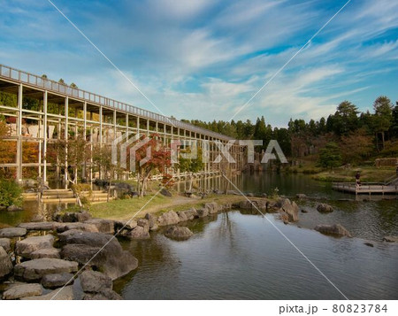 けいはんな記念公園の水景園 80823784