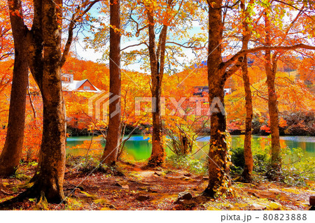 紅葉のドッコ沼 紅葉のドッコ沼 80823888