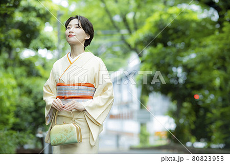 着物の女性　色無地　伊達襟 80823953