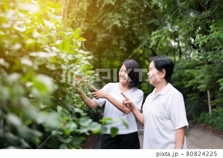 Asian woman looking flower feeling enjoying and freedom relax together in the morining Asian woman looking flower feeling enjoying and freedom relax together in the morining 80824225
