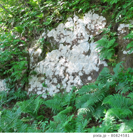 岩壁のコピースペース 岩壁のコピースペース 80824581