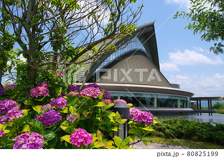 福井県立音楽堂 ハーモニーホールふくい 福井県立音楽堂 ハーモニーホールふくい 80825199