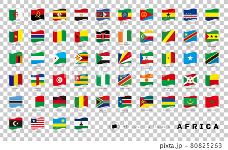 アフリカ すべての国の国旗 アイコンのセット 80825263