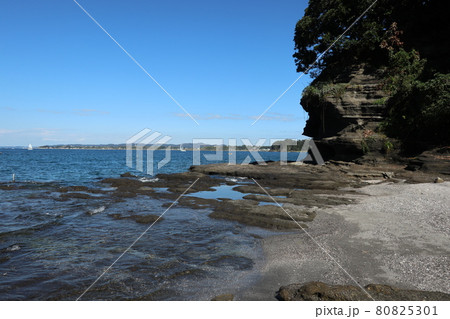 油壷の海岸(神奈川県三浦市) 油壷の海岸(神奈川県三浦市) 80825301