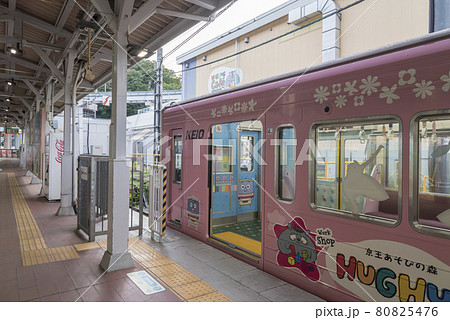 京王線　京王電鉄 　動物園線　車内　座席　無人　 京王帝都電鉄　多摩動物公園ラッピング 80825476