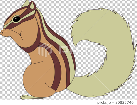 Chipmunk Chipmunk 80825746