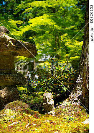 京都 大原三千院 わらべ地蔵 京都 大原三千院 わらべ地蔵 80826152