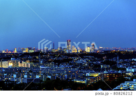 横浜円海山からの夜景 2 横浜円海山からの夜景 2 80826212