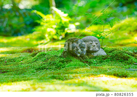 京都 大原三千院 わらべ地蔵 京都 大原三千院 わらべ地蔵 80826355