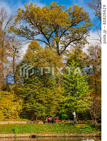 Sofiyivsky arboretum on a sunny autumn day. Uman, Ukraine Sofiyivsky arboretum on a sunny autumn day. Uman, Ukraine 80826629