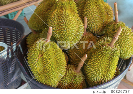 Bunch of durian fruits lying on a market stall  80826757
