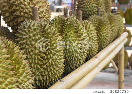 Bunch of durian fruits lying on a market stall  80826759