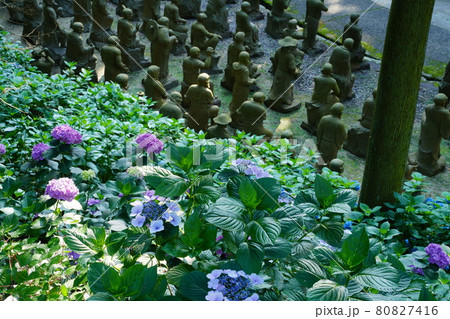四国霊場66番札所雲辺寺の五百羅漢像 80827416