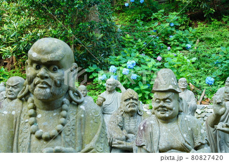 雲辺寺のアジサイと五百羅漢像 雲辺寺のアジサイと五百羅漢像 80827420